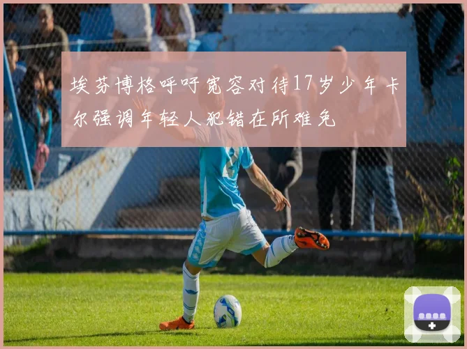 埃芬博格呼吁宽容对待17岁少年卡尔强调年轻人犯错在所难免